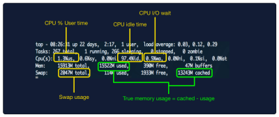 Top output